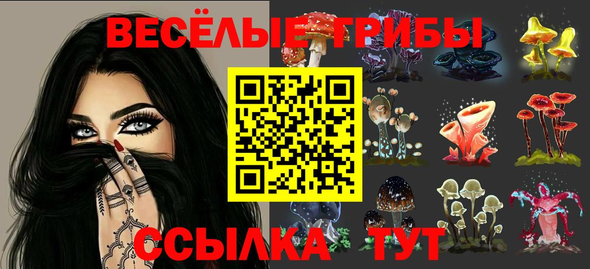 Галлюциногенные грибы Cubensis Шахты